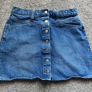 Madewell Denim Mini Skirt (29)